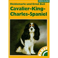 Cavalier-King-Charles-Spaniel