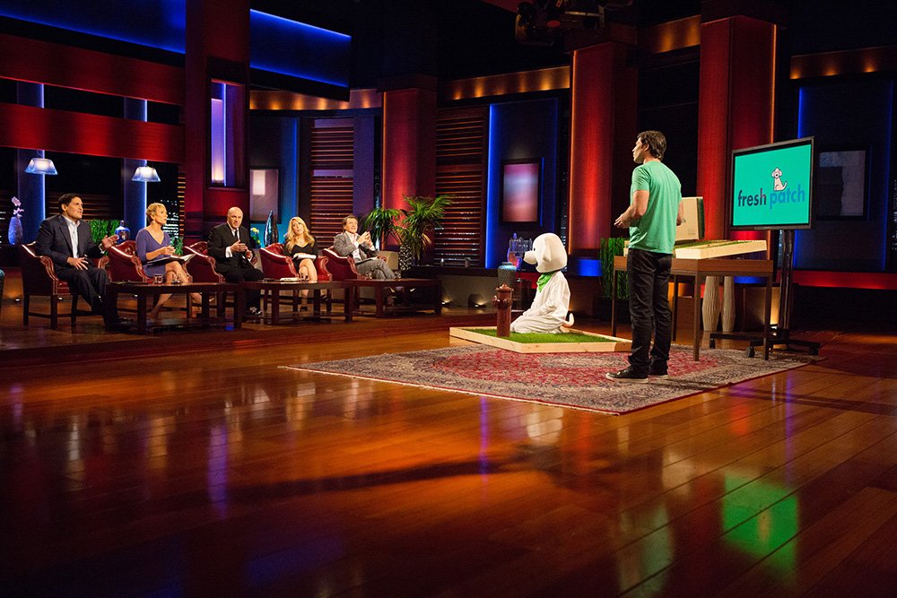 Amazon.com : Fresh Patch Disposable Dog Potty with REAL Grass - As ...