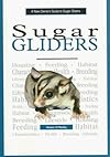 A New Owner's Guide to Sugar Gliders