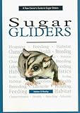 A New Owner's Guide to Sugar Gliders
