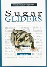 A New Owner's Guide to Sugar Gliders