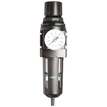 Dixon B28-06AG Automatic Drain Wilkerson Standard Filter/Regulator with Transparent Bowl and Guard, 3/4" Size, 175 SCFM Flow, 150 psig Pressure