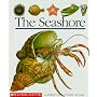 The Seashore (First Discovery Books)