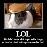 Demotivational Pics