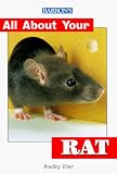 All About Your Rat (All About Your Pets Series)