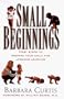 Small Beginnings : First Steps to Prepare Your Toddler for Lifelong Learning