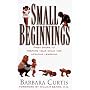Small Beginnings : First Steps to Prepare Your Toddler for Lifelong Learning