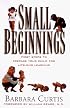 Small Beginnings : First Steps to Prepare Your Toddler for Lifelong Learning