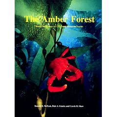 Amber Forest: Beauty and Biology of California's Submarine Forests