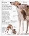 Ultimate Dog Book