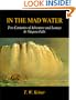 In the Mad Water: Two Centuries of Adventure and Lunacy at Niagara Falls