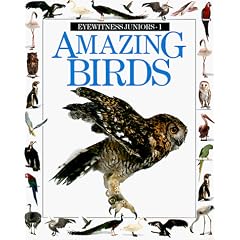 Amazing Birds