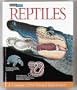 A Look Inside Reptiles