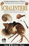 Eigenschaften Euro Video  / Geheimnisvolle Welt: Schalentiere