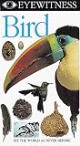 Eyewitness Video: Bird