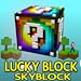 Skyblock - Survival Mini Game
