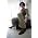 Thumbnail image of Ani DiFranco