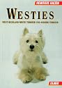 Westies. Heimtiere halten. West Highland White Terrier und andere Terrier.