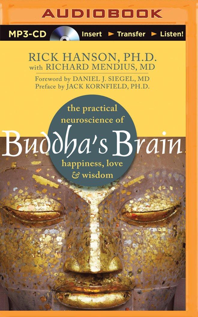 Buddha's Brain: The Practical Neuroscience of Happiness, Love ...