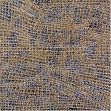 Long Walk Home: Music from the Rabbit-Proof Fence