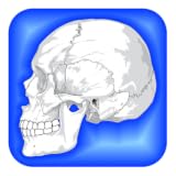 Human Body Facts ~ Michael Quach