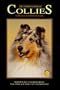 Dr Ackermans Book of Collie (BB Dog)