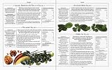 Healing Foods (DK Living)