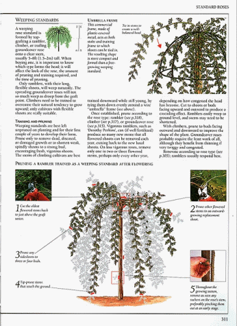 American Horticultural Society Pruning & Training (American Horticultural Society Practical Guides) under Gardening & Horticulture in The Books Store