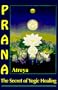 Prana: The Secret of Yogic Healing