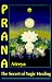 Prana: The Secret of Yogic Healing