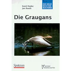 Die Graugans: Anser anser L