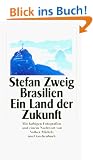 Brasilien: Ein Land der Zukunft (insel taschenbuch)