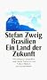 Brasilien: Ein Land der Zukunft (insel taschenbuch)