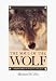 Search : The Soul of the Wolf