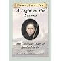 A Light in the Storm: the Civil War Diary of Amelia Martin