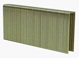 B & C Eagle PM-2 2-Inch by 16 Gauge by 1/2-Inch Medium Crown Galvanized Sheathing Staple (10,000 per Box)