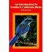 An Introduction to Southern California Birds