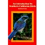 An Introduction to Southern California Birds