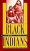 Black Indians: A Hidden Heritage