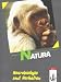 Natura - Biologie für Gymnasien - Gesamtausgabe Bd 3: Natura, Biologie für Gymnasien, Themenhefte S II, Neurobiologie und Verhalten: Sekundarstufe 2. ... Biologie für Gymnasien. Oberstufe