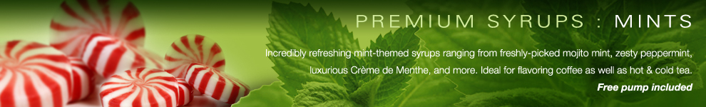 Amoretti Premium Syrups for Coffee, Tea and Beverages : Mints
