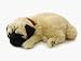Perfect Pets Pug Puppy Bundle