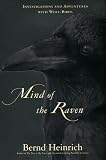 Mind of the Raven: Investigations and Adventures with Wolf-Birds