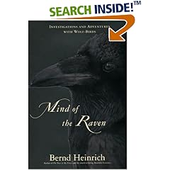 Mind of the Raven: Investigations and Adventures with Wolf-Birds