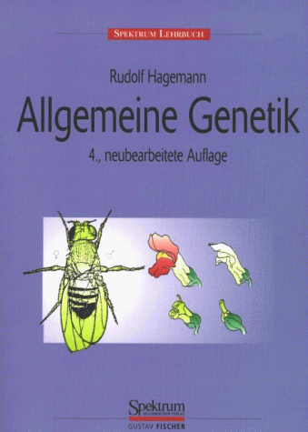 Siegemund