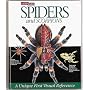 Spiders and Scorpions : A Look Inside Series