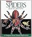 Spiders and Scorpions : A Look Inside Series