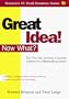 Great Idea! Now What? (Small Business Sourcebooks)