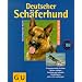 Rund um den BESTEN FREUND DES MENSCHEN: der HUND