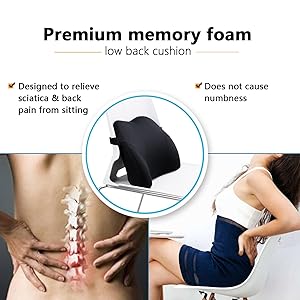 Mini Supportive Chair Cushion Lumbar Pillow Design For Lower Back